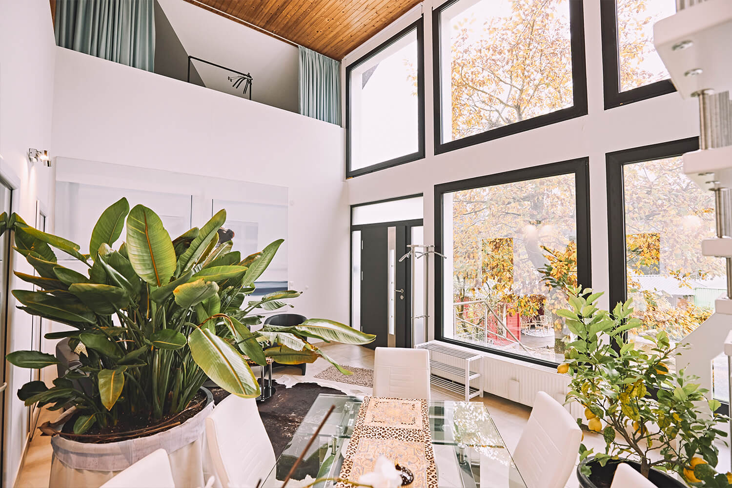 Bildstein's Bed & Breakfast Ferienwohnung "Kathmandu" Loft - Wintergarten