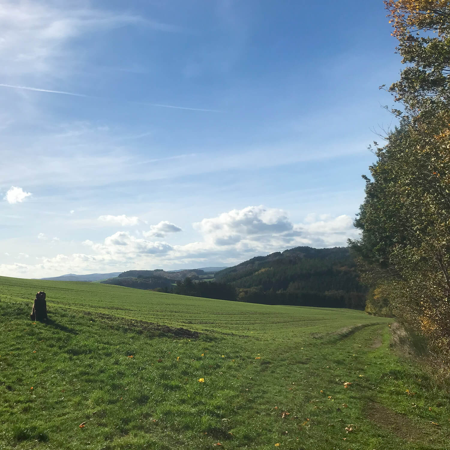 Bildstein's Bed & Breakfast Aktivitäten Wandern in der Natur
